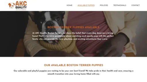 A screenshot of Akcqualitybostonterriers.com
