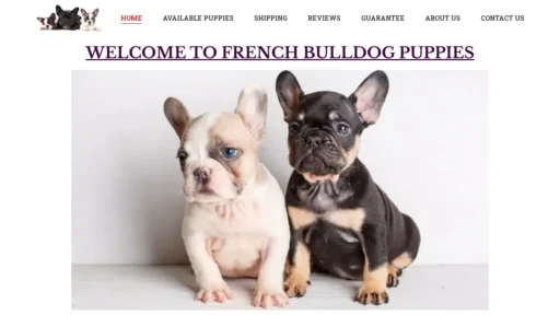 A screenshot of Akojbefrenchies.com