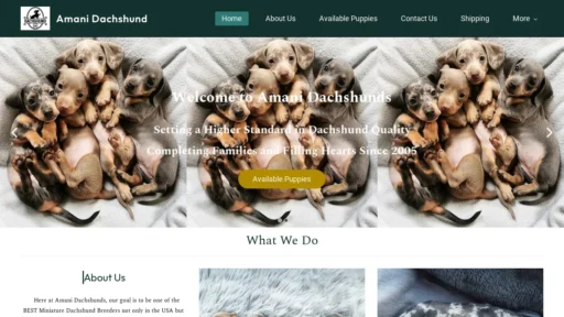 A screenshot of Amanidachshunds.com