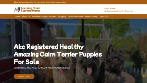 A screenshot of Amazingcairnterriershome.com