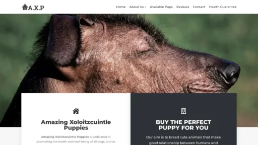A screenshot of Amazingxoloitzcuintlepuppies.com