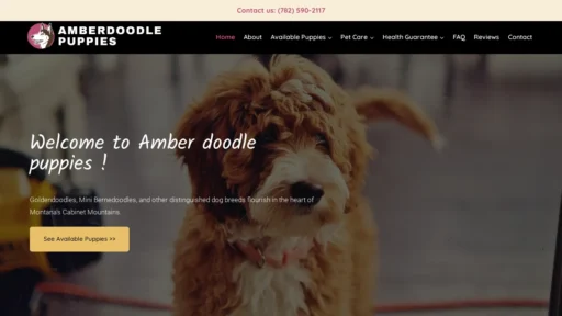 A screenshot of Amberdoodlepuppies.com