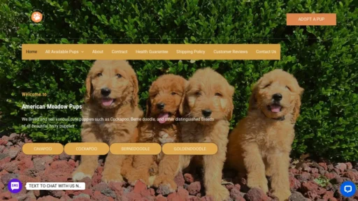 A screenshot of Americanmeadowpuppies.com