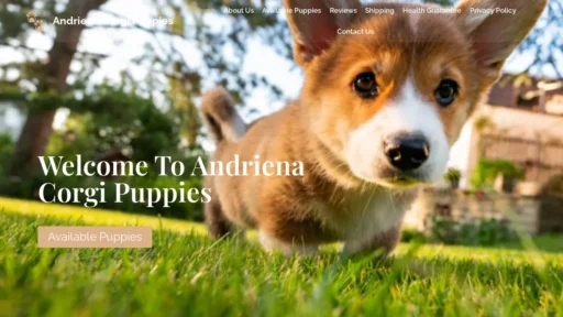 A screenshot of Andrienacorgipuppies.com