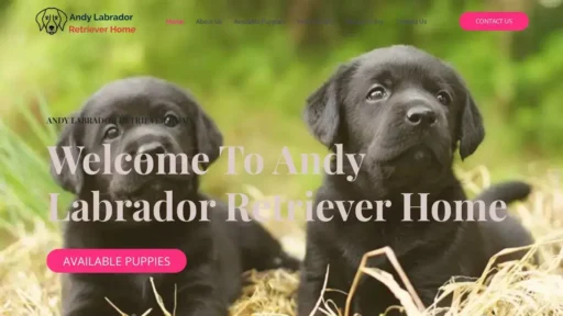 A screenshot of Andylabradorretrieverhome.com