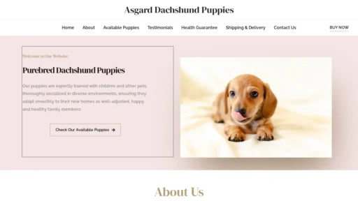 A screenshot of Asgarddachshundpuppies.com
