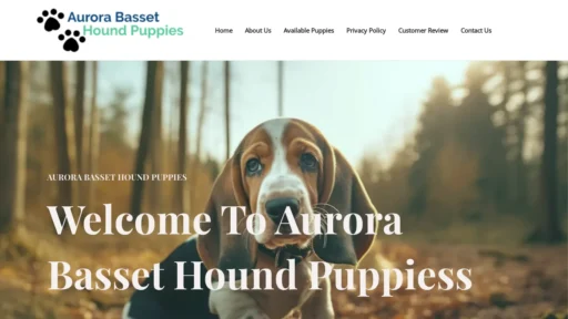 A screenshot of Aurorabassethoundpuppies.com
