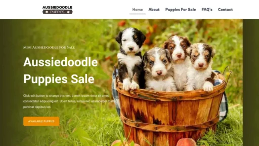 A screenshot of Aussiedoodleonsale.com