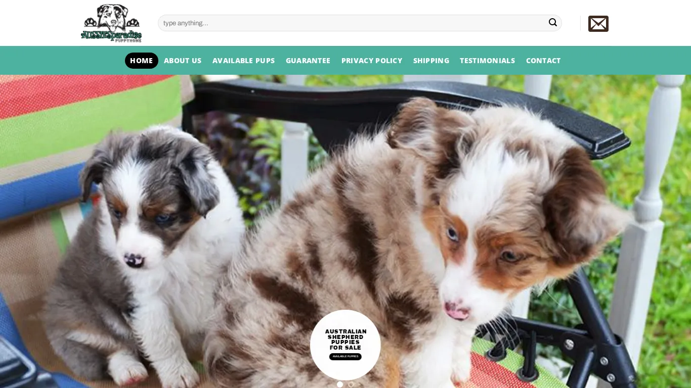 is Aussie Paradise Australian Shepherd Puppy Home – Australian Shepherd | Australian Shepherd dog for sale| Australian Shepherd puppy for sale| Australian Shepherd puppies for sale| Australian Shepherd for sale| Australian Shepherd puppies for sale near me| Australian Shepherd puppies|miniature Australian Shepherd puppy for sale| Australian Shepherd for sale near me| Australian Shepherd puppy for adoption| Australian Shepherd dog for adoption| Australian Shepherd puppies price| Australian Shepherd dogs for sale| buy Australian Shepherd | Australian Shepherd puppies for adoption| Australian Shepherd pup| Australian Shepherd near me| Australian Shepherd puppies for sale price|Merle Australian Shepherd puppies for sale|Akc Australian Shepherd puppies|cheap Australian Shepherd puppies for sale| Buy Australian Shepherd puppies |female Australian Shepherd puppies for sale| buy Australian Shepherd puppy|Blue Merle Australian Shepherd for sale| miniature Australian Shepherd puppies|Red Merle Australian Shepherd for sale| Australian Shepherd puppy breeders|cheap Australian Shepherd puppies| Mini Australian Shepherd for sale|mini Australian Shepherd puppies|female Australian Shepherd for sale|where to buy a Australian Shepherd |purebred Australian Shepherd puppies for sale|where can i buy Australian Shepherd puppy| Toy aussie puppy for sale |Toy australian shepherd for sale |Mini Australian shepherd puppies for sale |mini australian sheperd dog for sale |toy australian shepherd dog for sale |standard australian shepherd for sale |standard australian shepherd puppies for sale |standard australian shepherd dog for sale near me |red merle australian sheperd for sale |red merle australian shepherd dogs for sale near me |blue merle aussie puppies for sale |blue merle australian shepherd puppies for sale |blue merle australian shepherd puppy for sale near me |teacup australian shepherd puppies for sale |teacup aussie puppy for sale |tiny aussie puppy for sale |full size aussie puppies for sale |toy australian shepherd for adoption |toy aussie puppy for adoption |toy aussie dog for adoption |mini aussie puppy for adoption |mini australian shepherd puppies for adoption |teacup aussie for adoption legit? screenshot