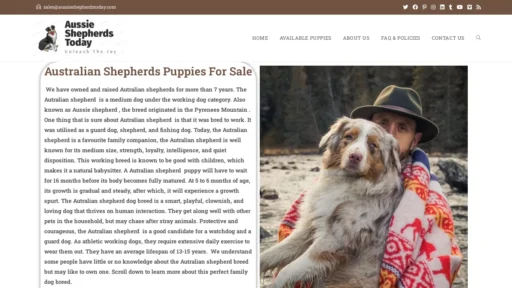 A screenshot of Aussieshepherdstoday.com