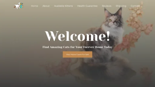 A screenshot of Avacoons.com