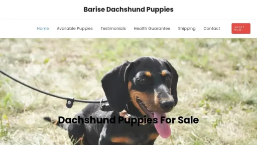 A screenshot of Barisedachshundpuppies.com
