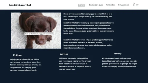 A screenshot of Basdkimbauernhof.online