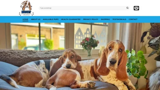 A screenshot of Bassetparadise.com