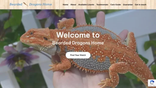 A screenshot of Beardeddragonshome.com