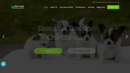 A screenshot of Beautifulteacupchihuahua.com