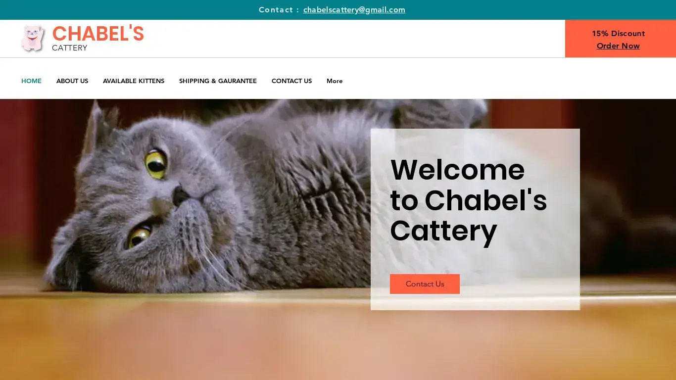 is Russian Blue Kittens For Sale legit? screenshot