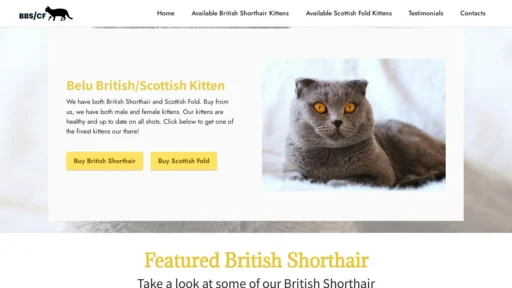 A screenshot of Belubritishshorthair.com