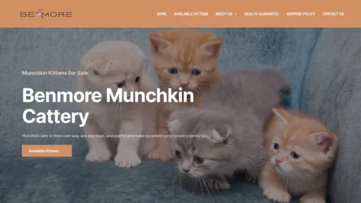 A screenshot of Benmoremunchkincats.com