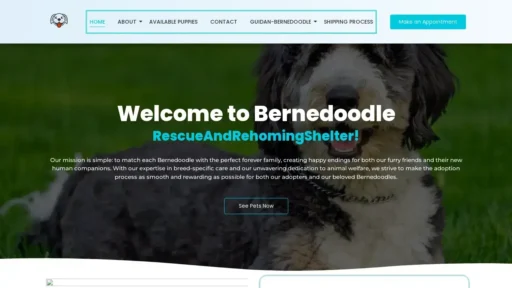 A screenshot of Bernedoodlerescueandrehomingshelter.com