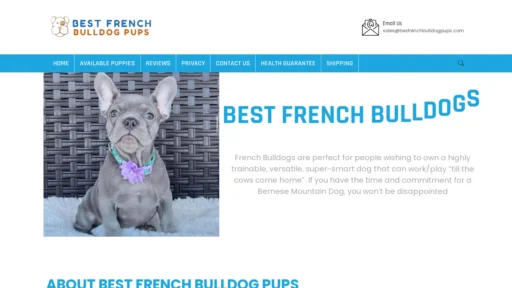 A screenshot of Besfrenchbulldogpups.com