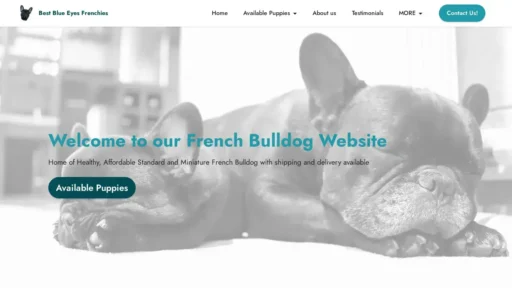 A screenshot of Bestblueeyesfrenchies.su