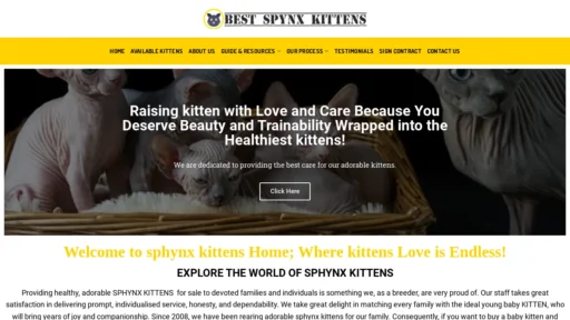 A screenshot of Bestspynxkittens.com