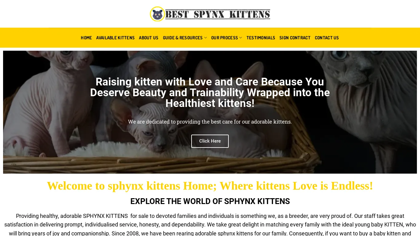 is Bestspynxkittens.com legit? screenshot