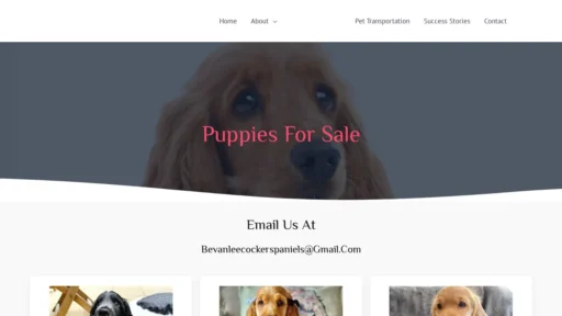 A screenshot of Bevanleespaniels.com
