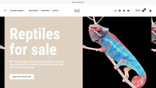 A screenshot of Bhbreptles.com