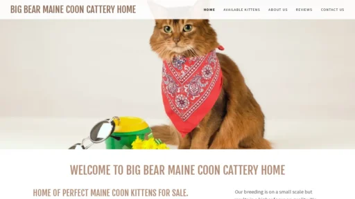A screenshot of Bigbearmainecoons.com