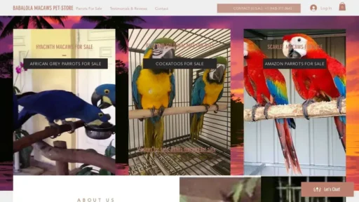 A screenshot of Birdsforsalenow.com