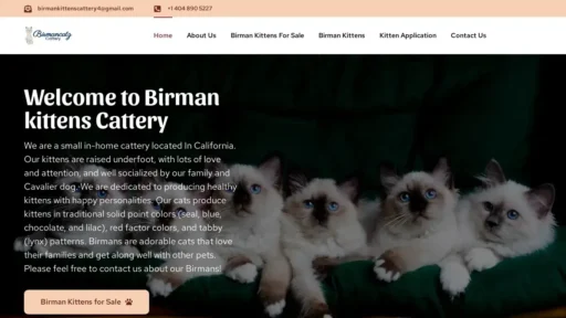 A screenshot of Birmankittenscattery.com