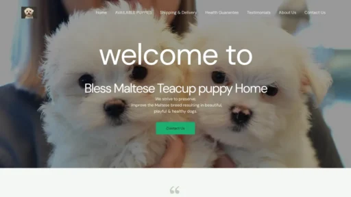 A screenshot of Blessmalteseteacuppuppy.com