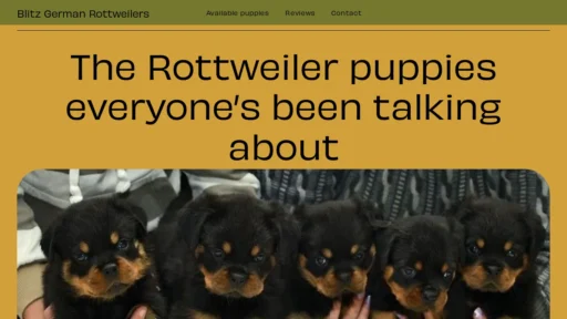 A screenshot of Blitsgermanrottweilers.com