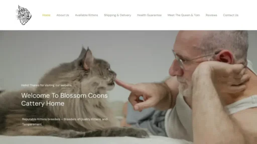 A screenshot of Blossomscoonscattery.com