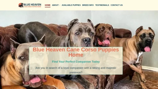 A screenshot of Blueheavencanecorsos.com