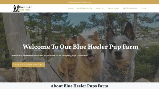 A screenshot of Blueheelerpupsfarm.com