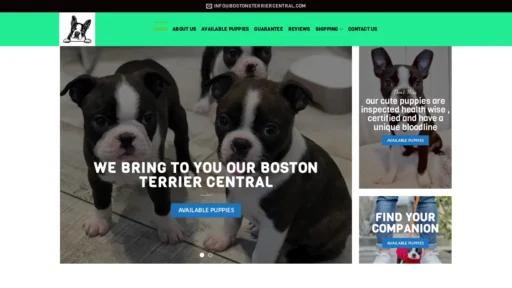 A screenshot of Bostonsterriercentral.com