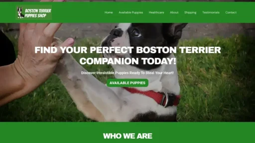 A screenshot of Bostonterrierpuppiesshop.com
