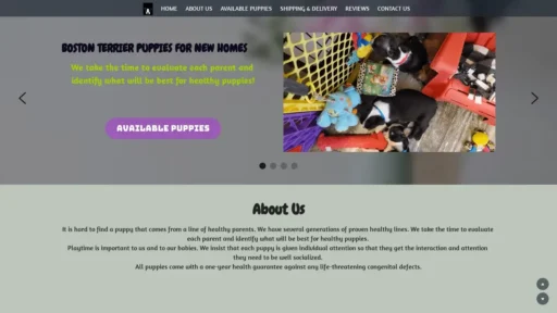A screenshot of Bostonterriers4sale.com