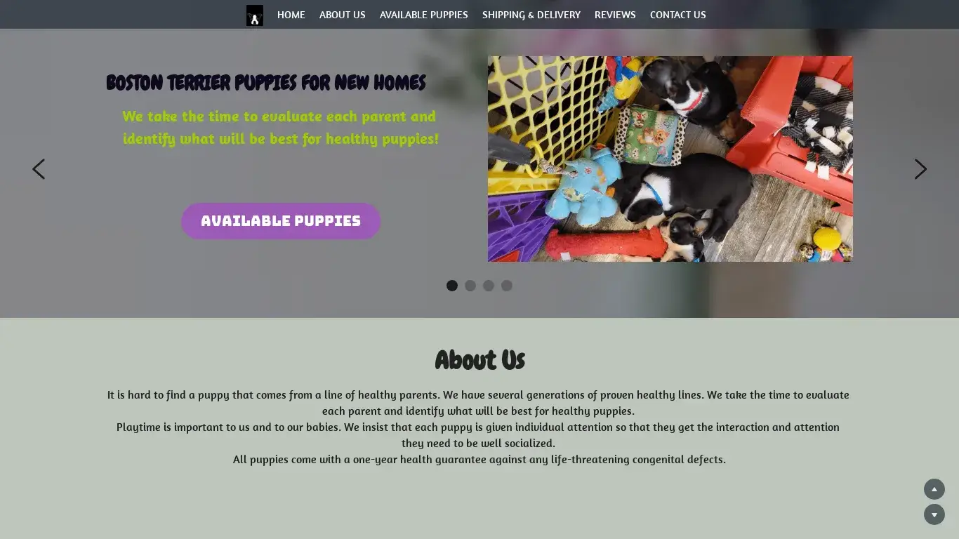 is Boston Terriers For Sale legit? screenshot