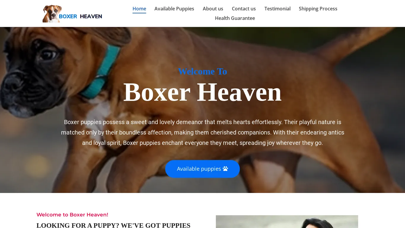 is Boxer Heaven legit? screenshot