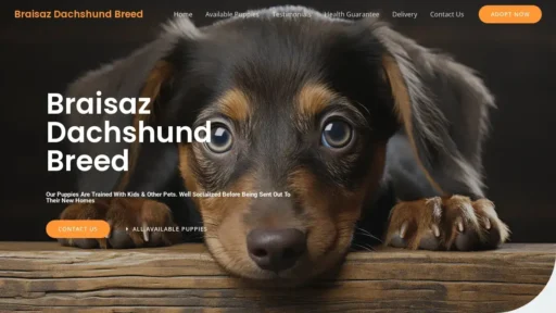 A screenshot of Braisazdachshundbreed.com