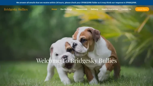 A screenshot of Bridgeskybullies.com