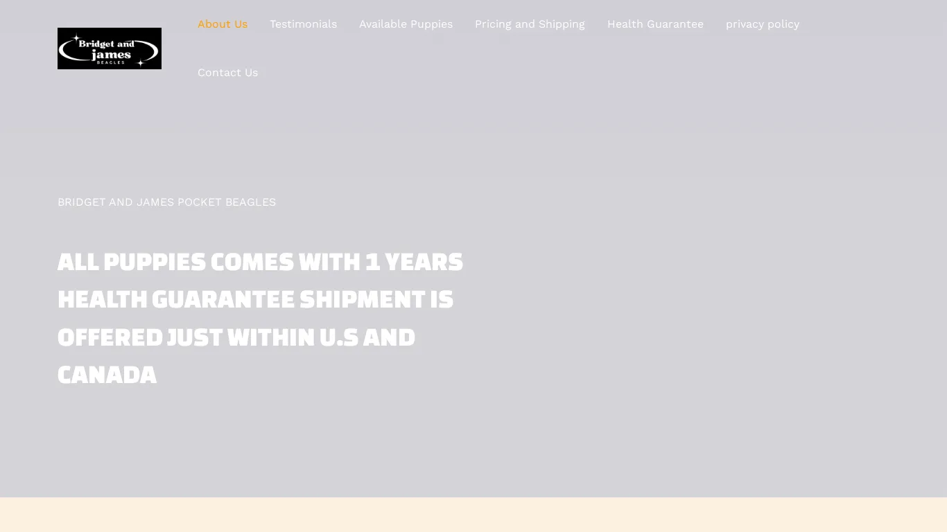 A screenshot of Bridgetnjbeagles.com