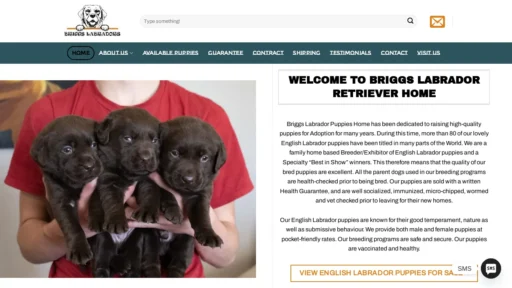 A screenshot of Briggslabradors.us
