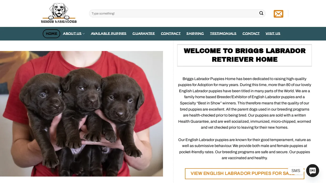 is Briggs Labradors legit? screenshot