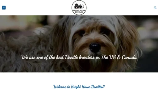 A screenshot of Brighthousedoodles.com