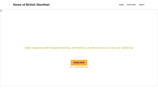 A screenshot of Britishshorthair4home.com